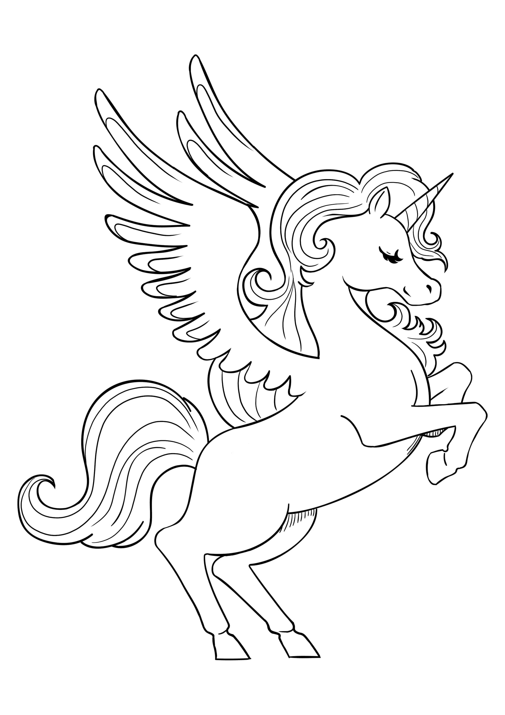 Unicorn