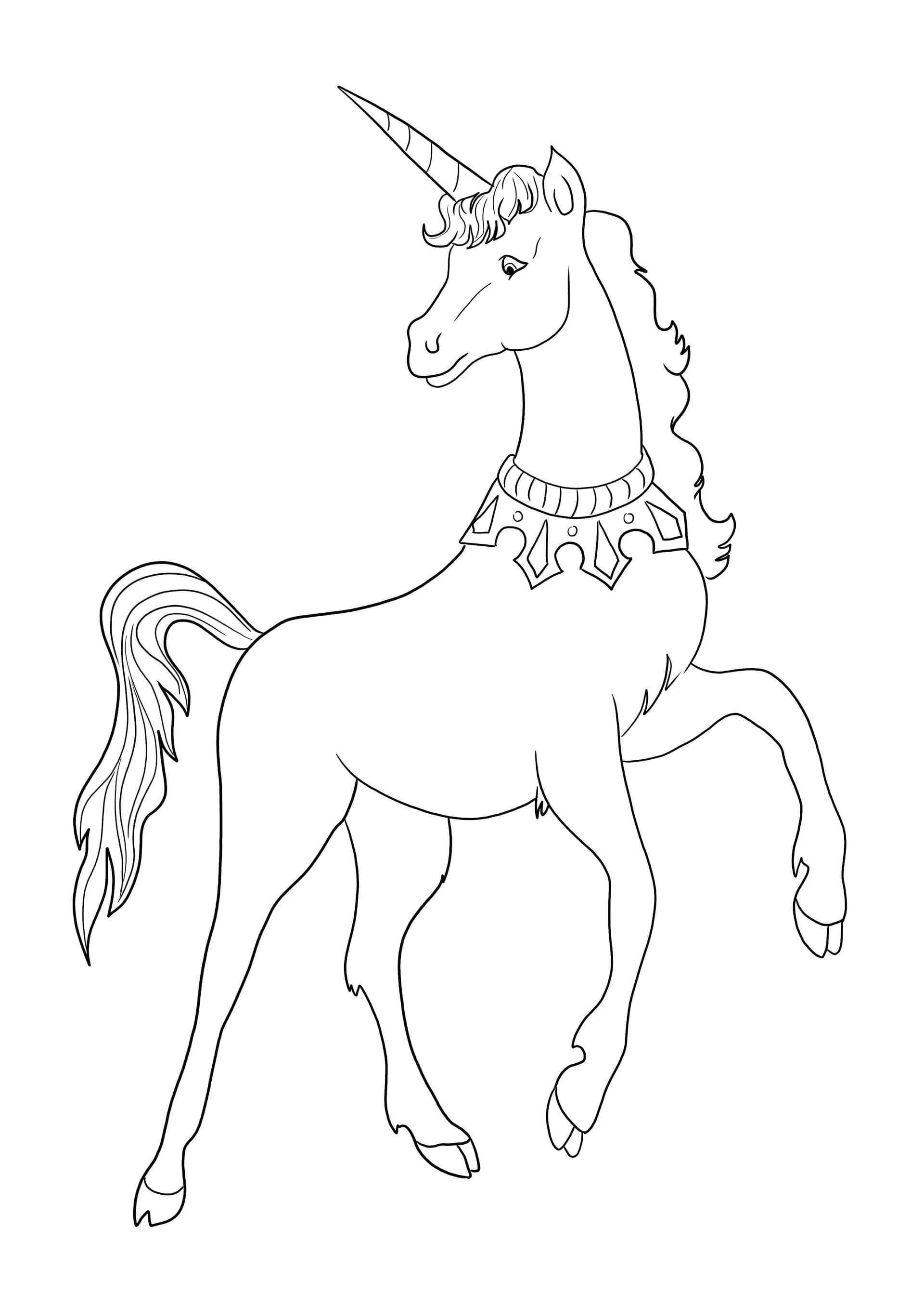Unicorn with an iron necklace