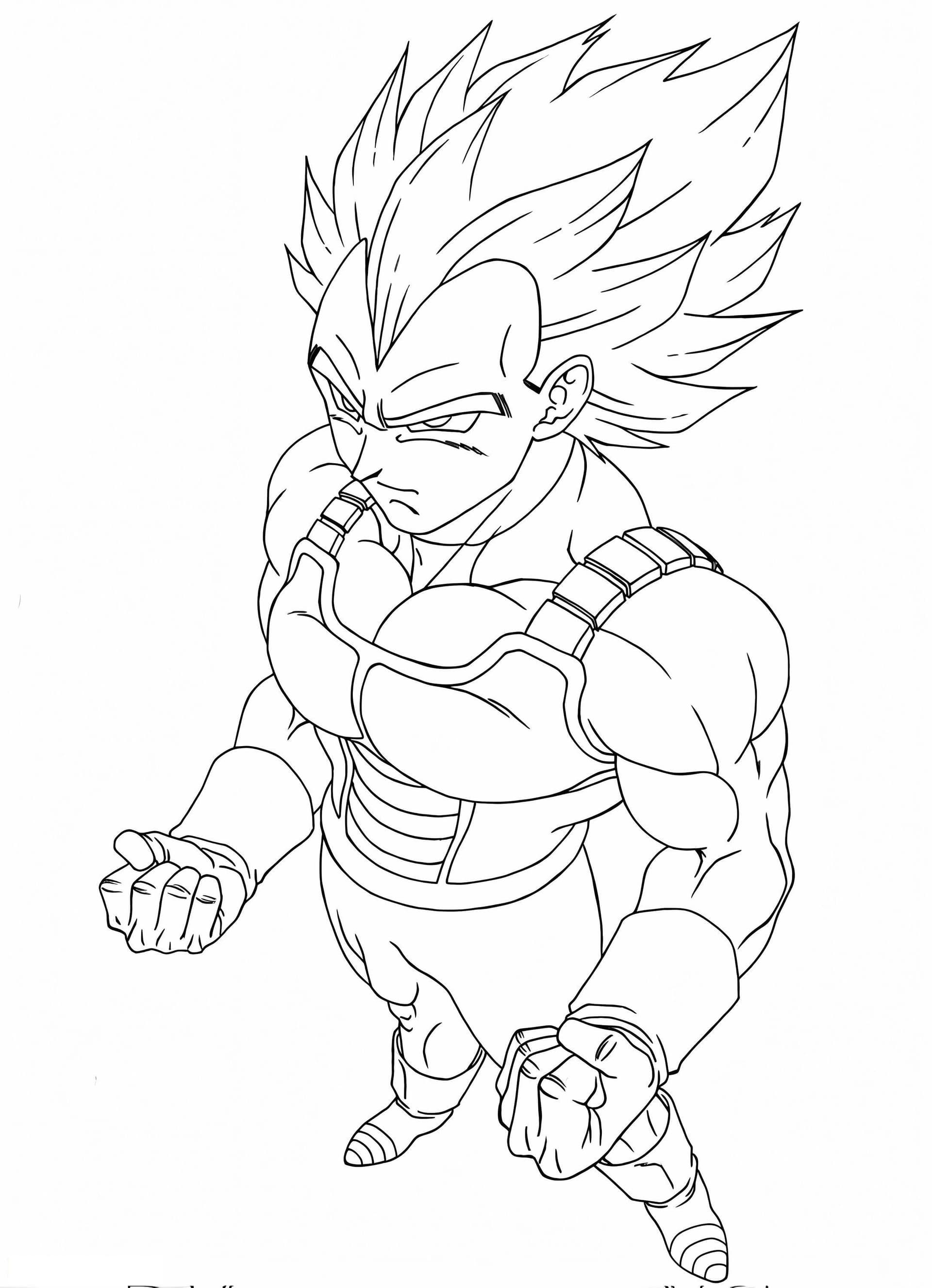 Vegeta 12 741X1024