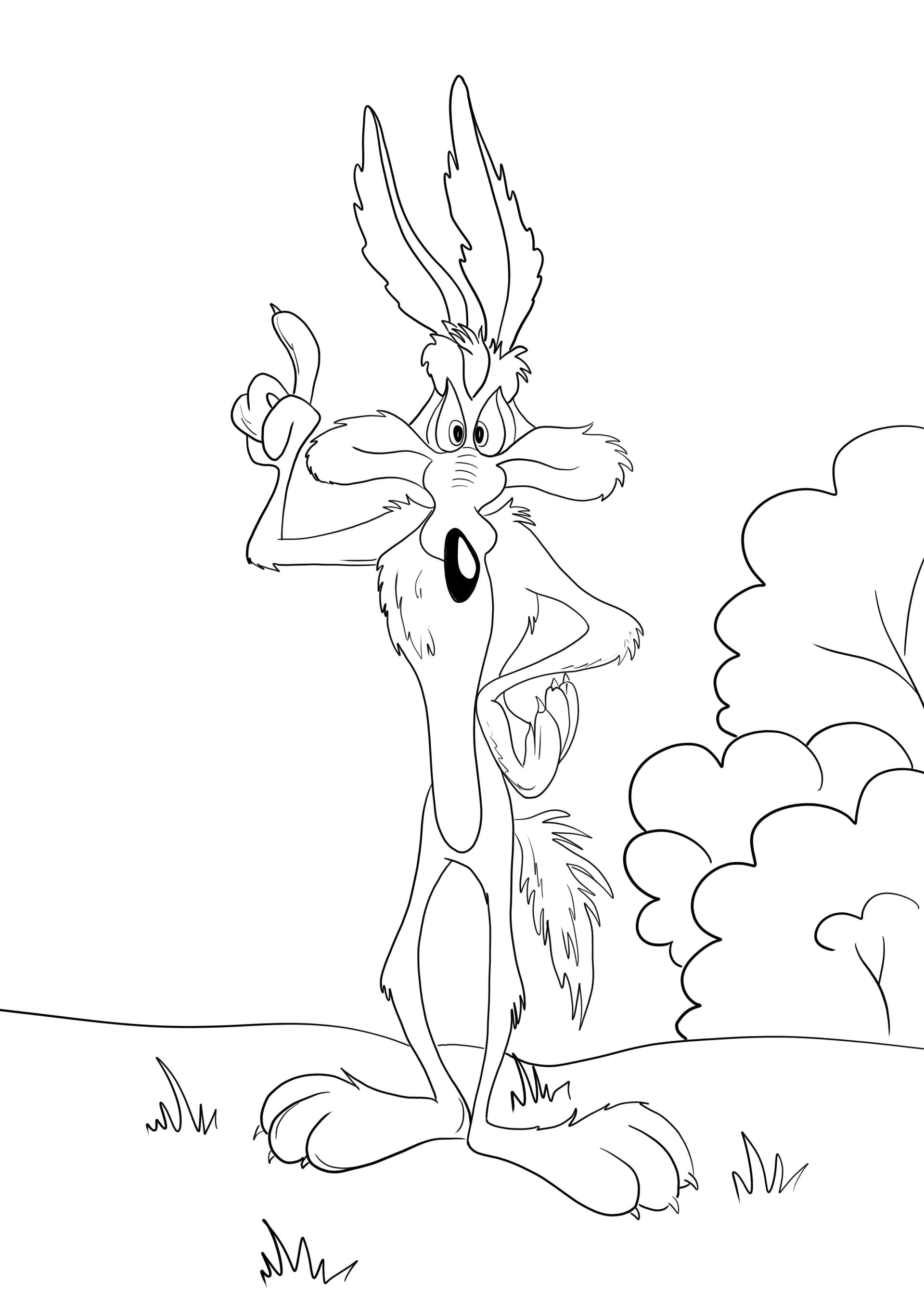 Wile the coyote