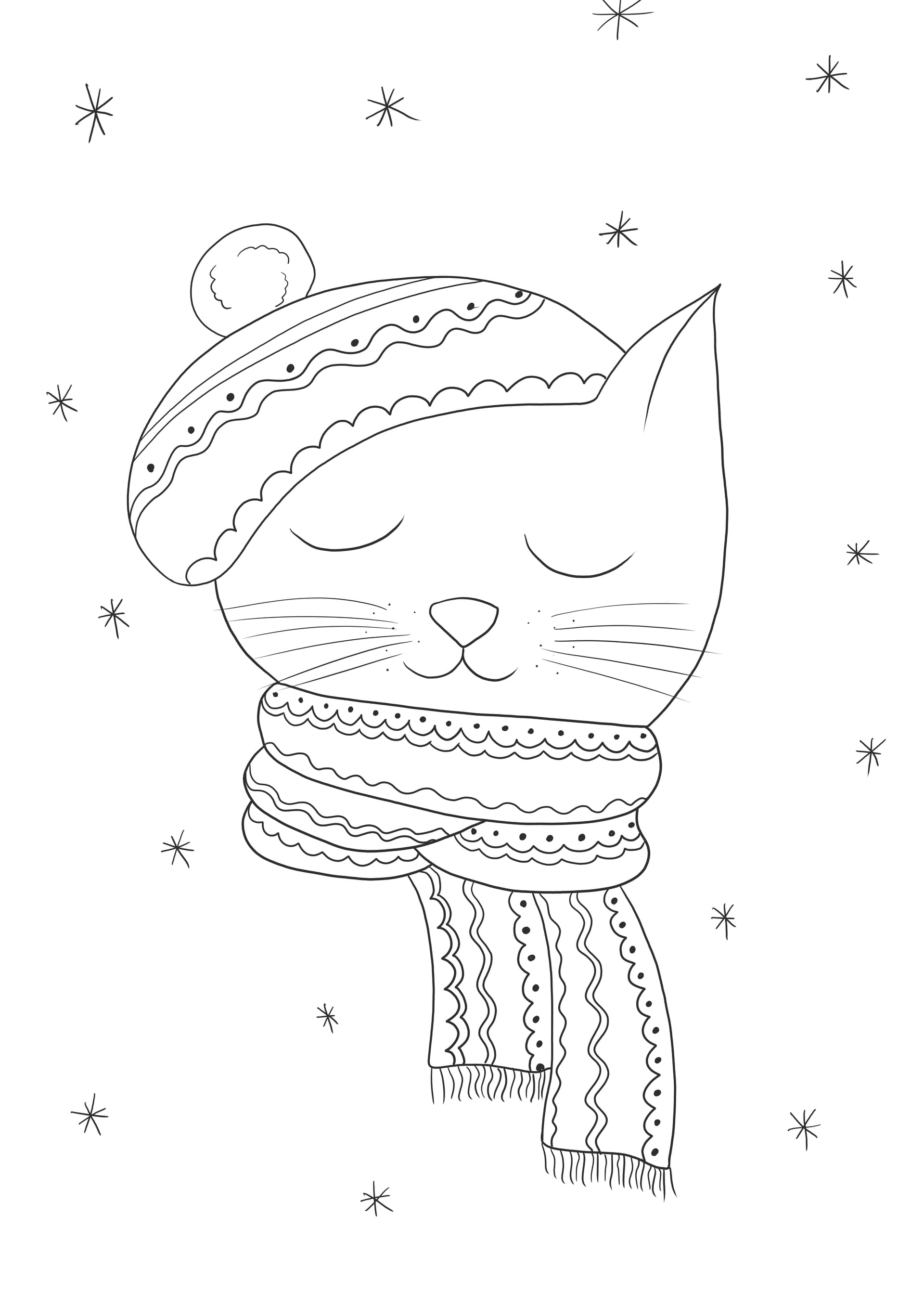Winter cat