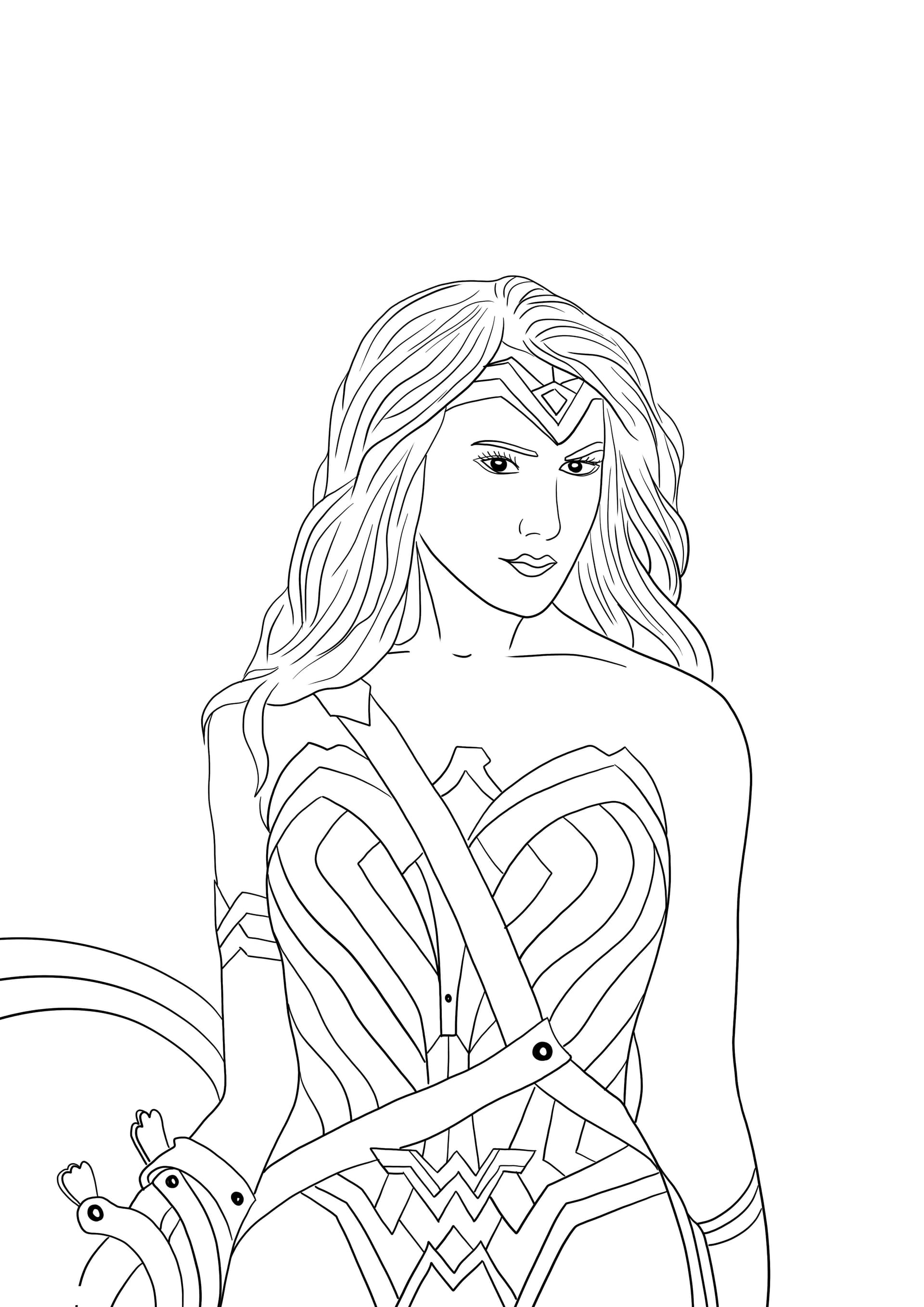 Wonder Woman and her shield