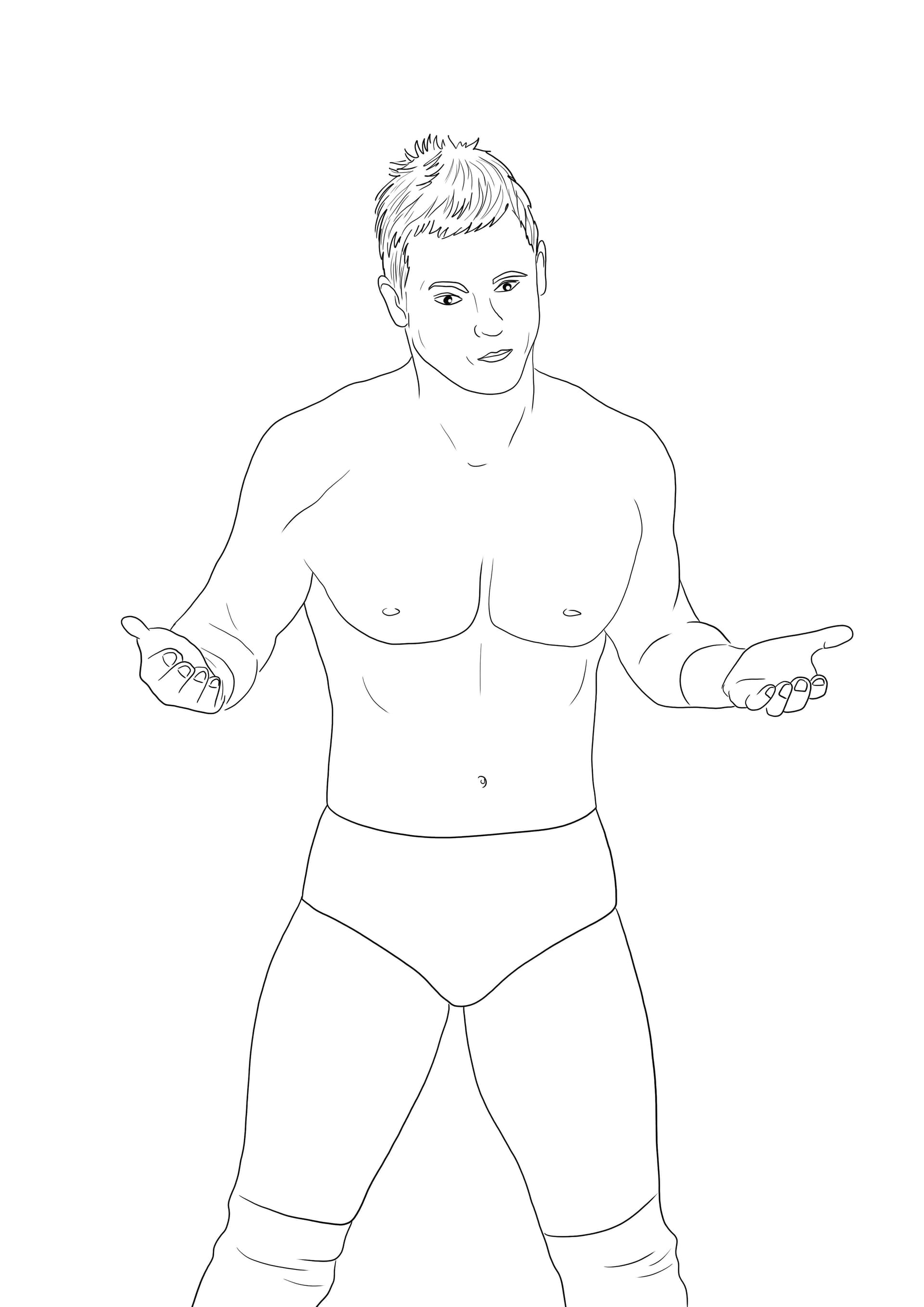 WWE The Miz