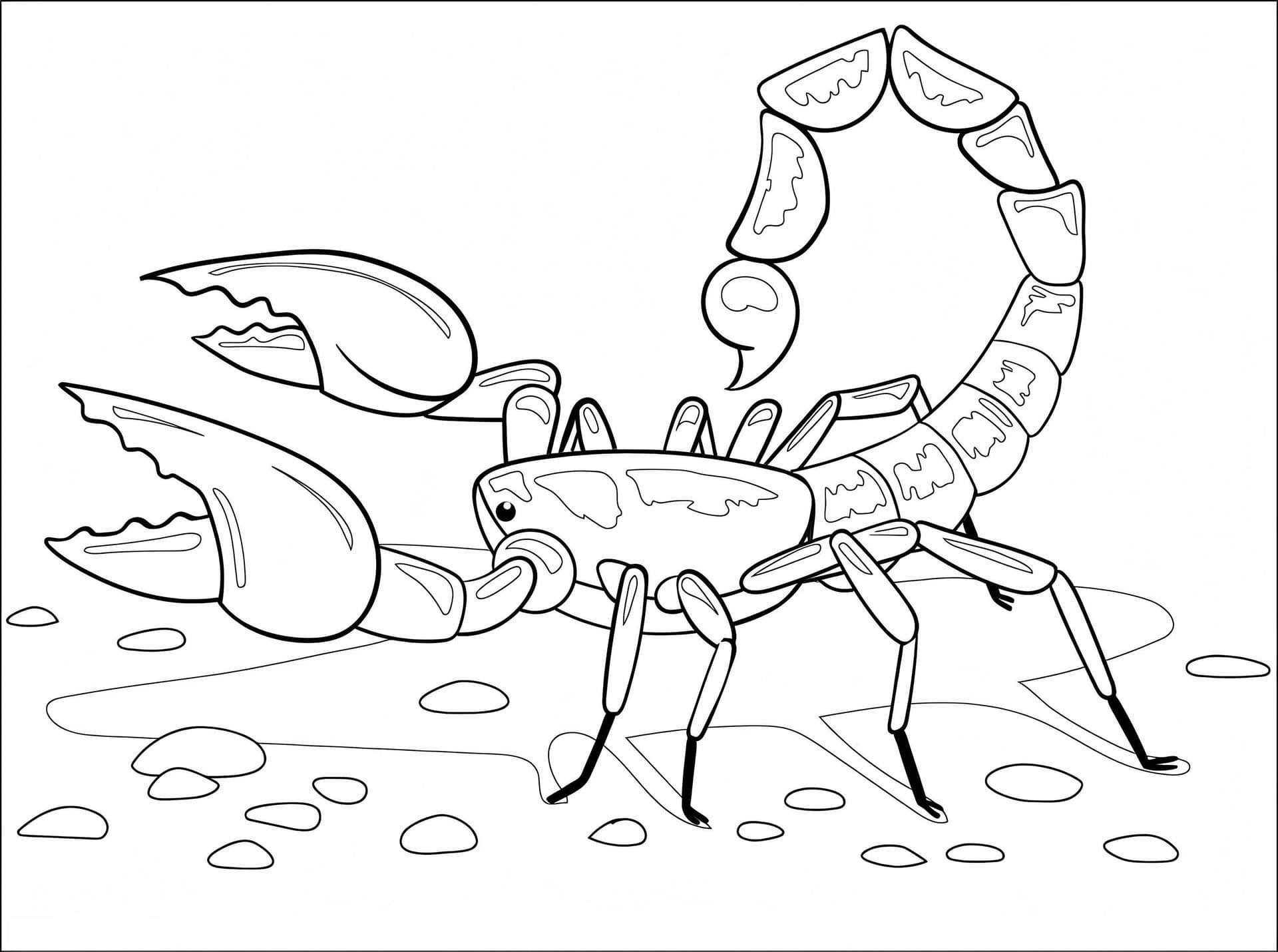 A Scorpion