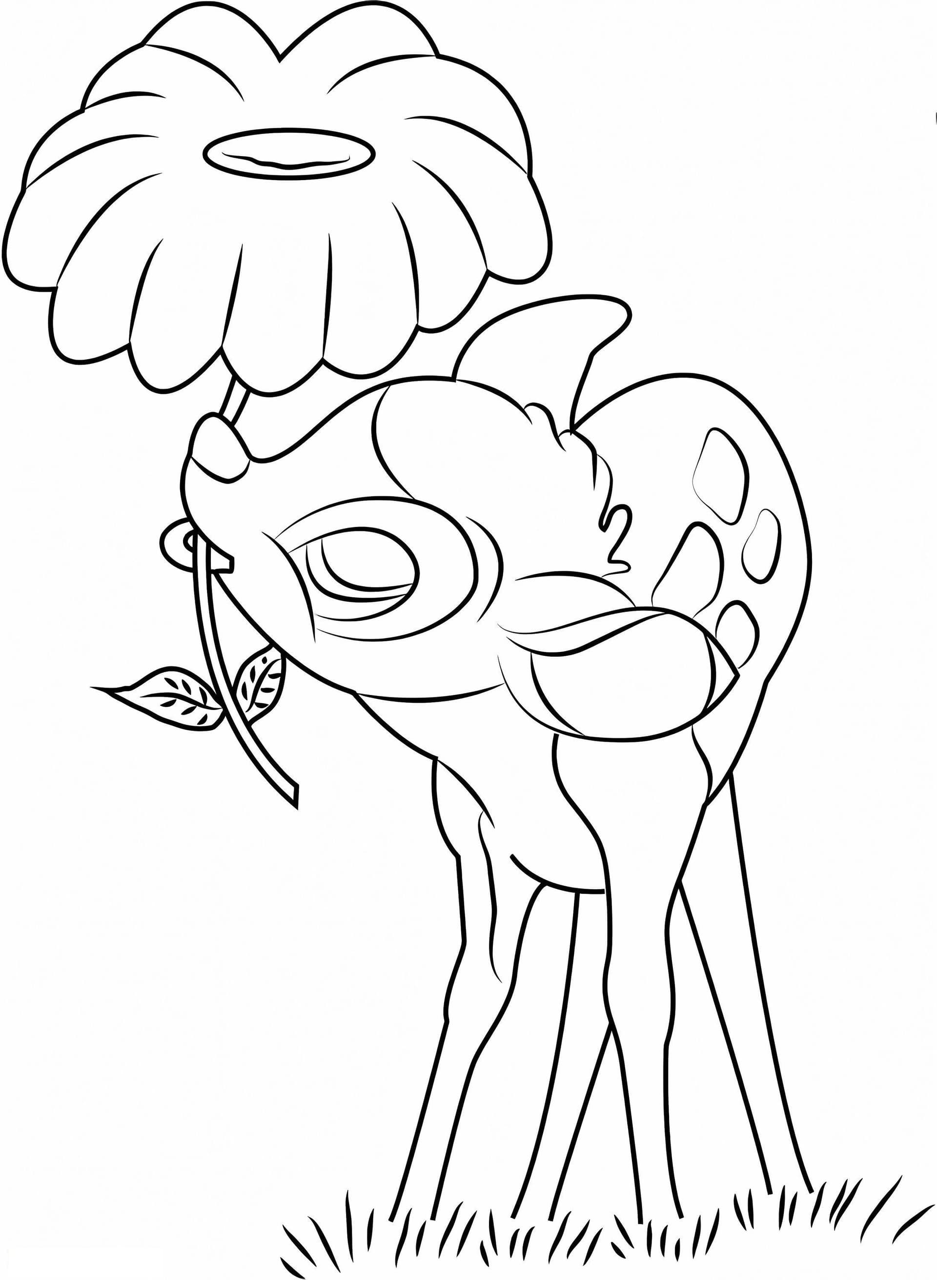 Bambi Gnawing Flower