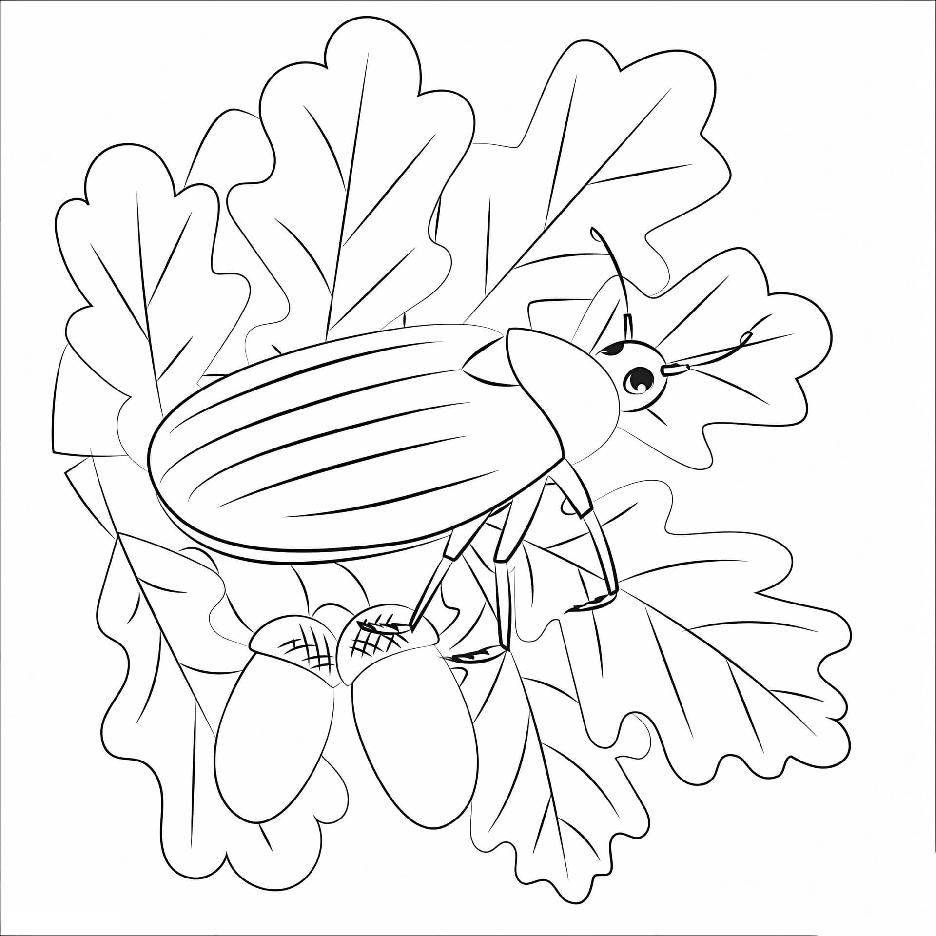 Bug