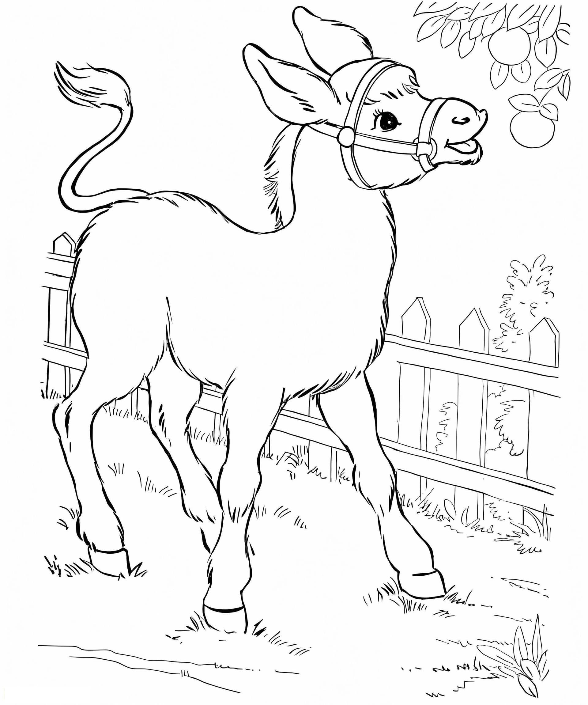 Donkey With Fruits