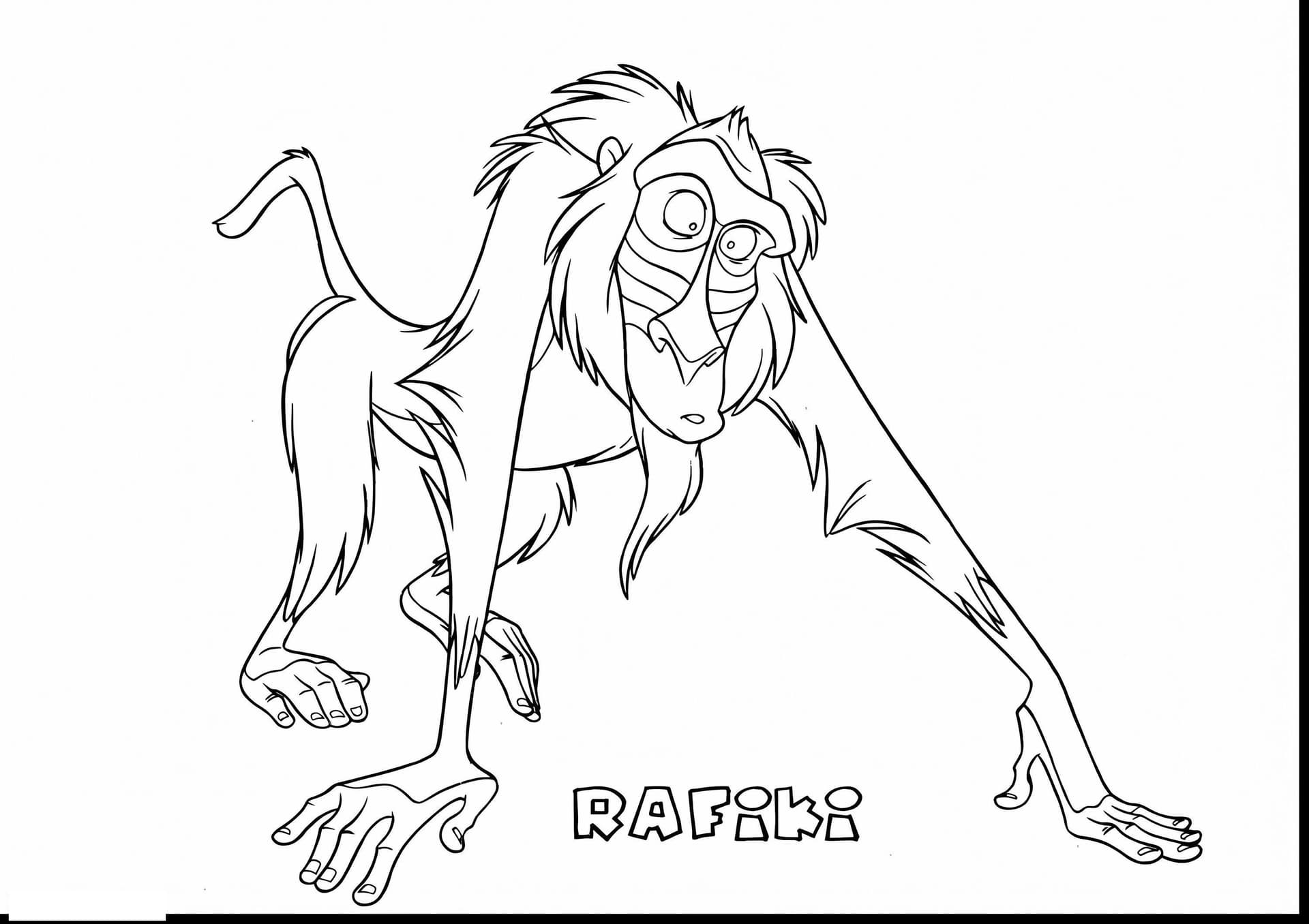 Rafiki'S Funny Face