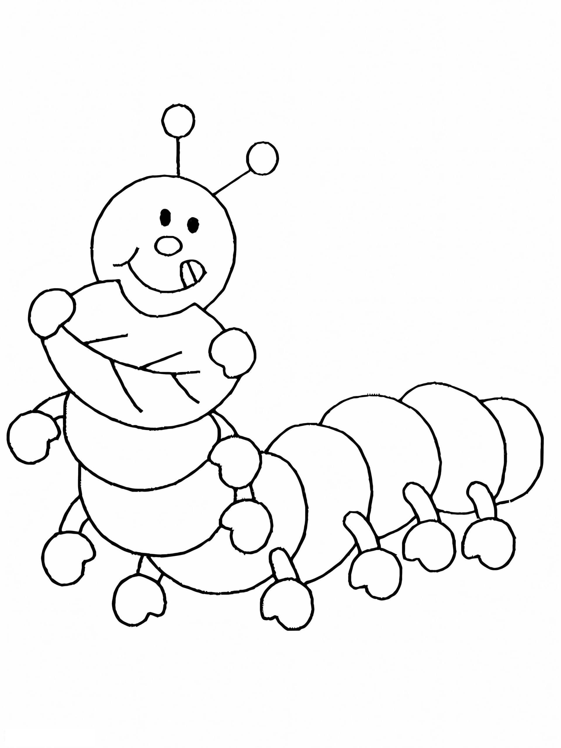 Centipede Eating Leaves