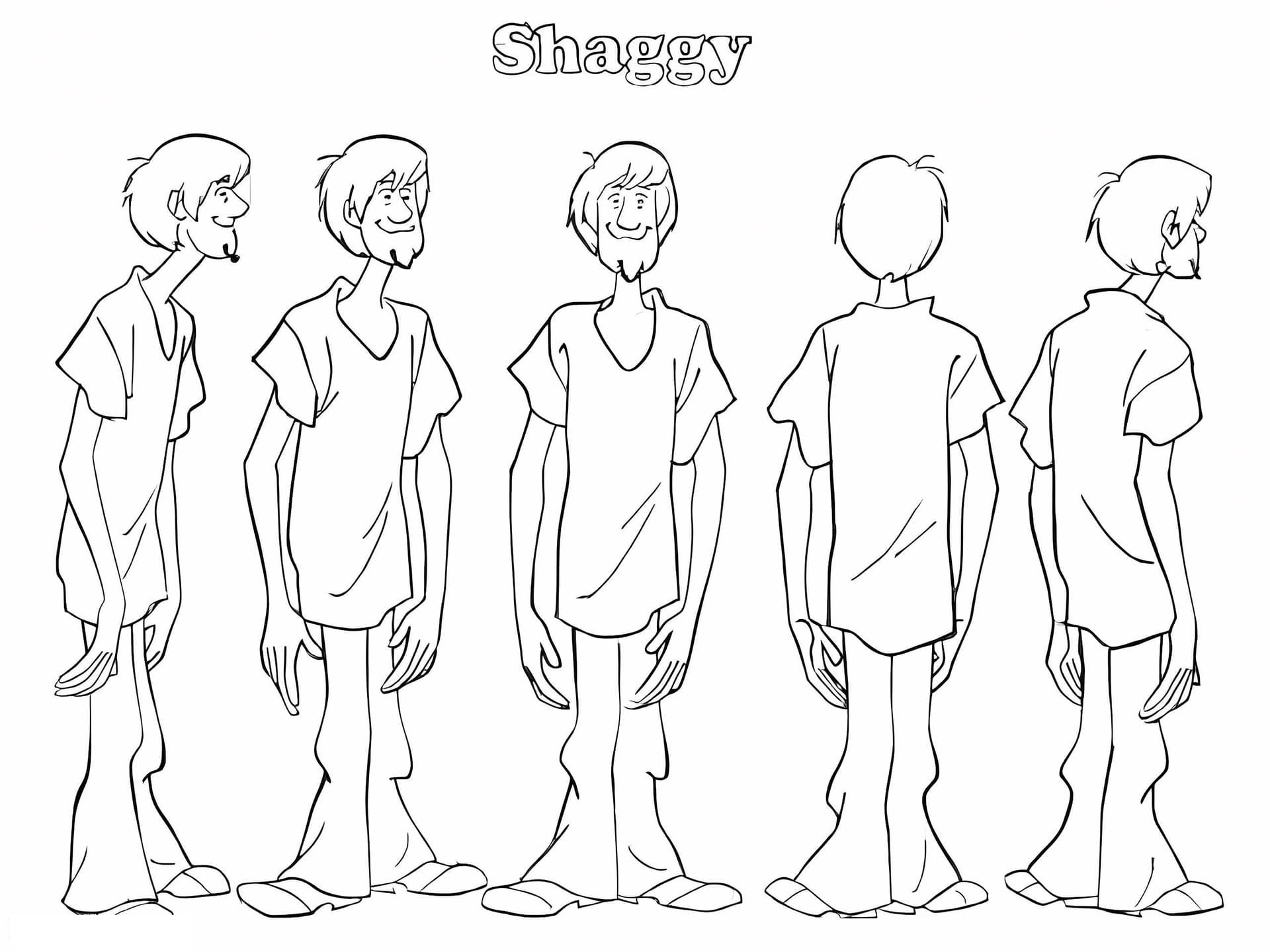 Cinco Shaggy