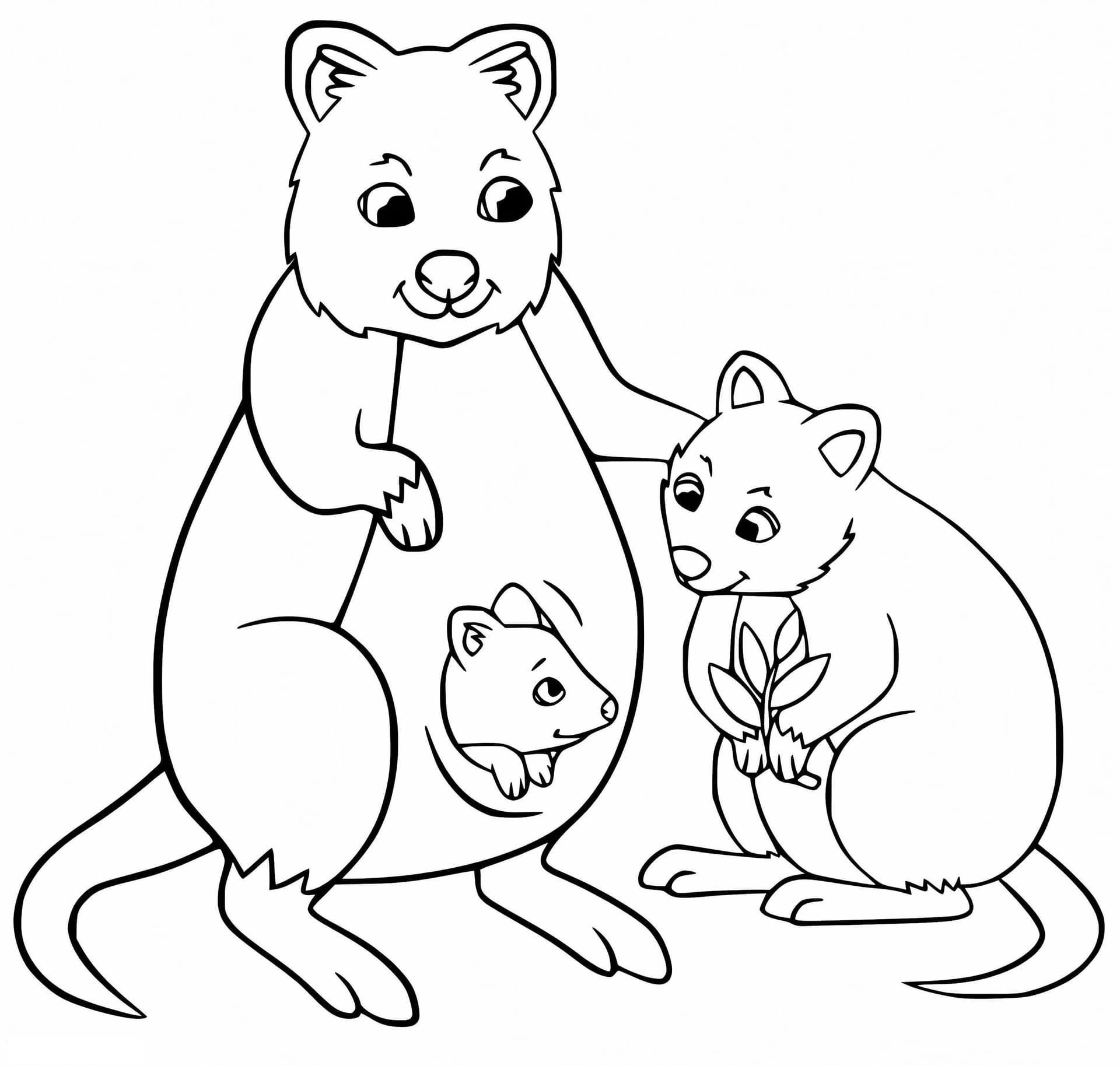 Cute Quokka Family