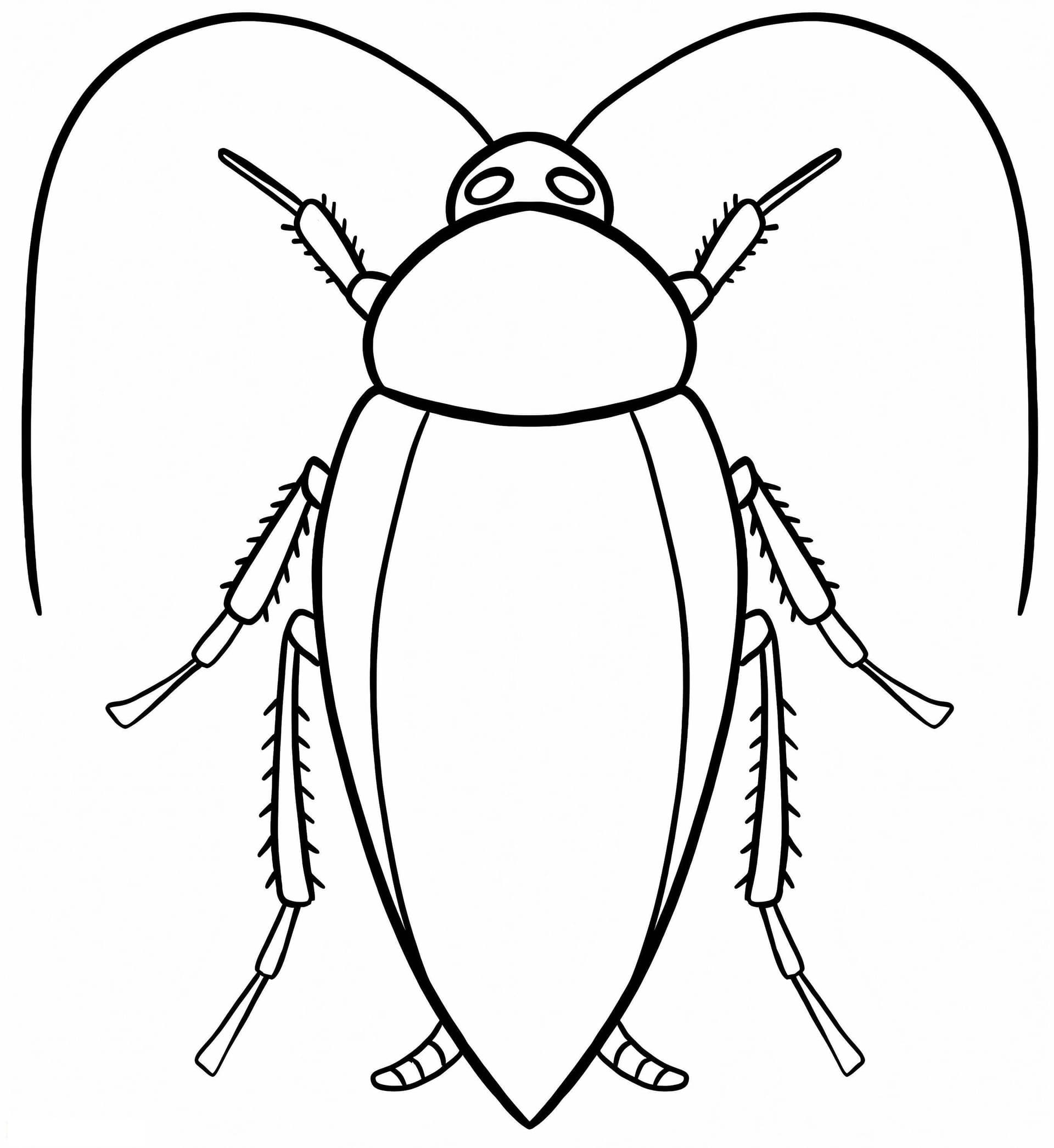 Free Cockroach For Kid