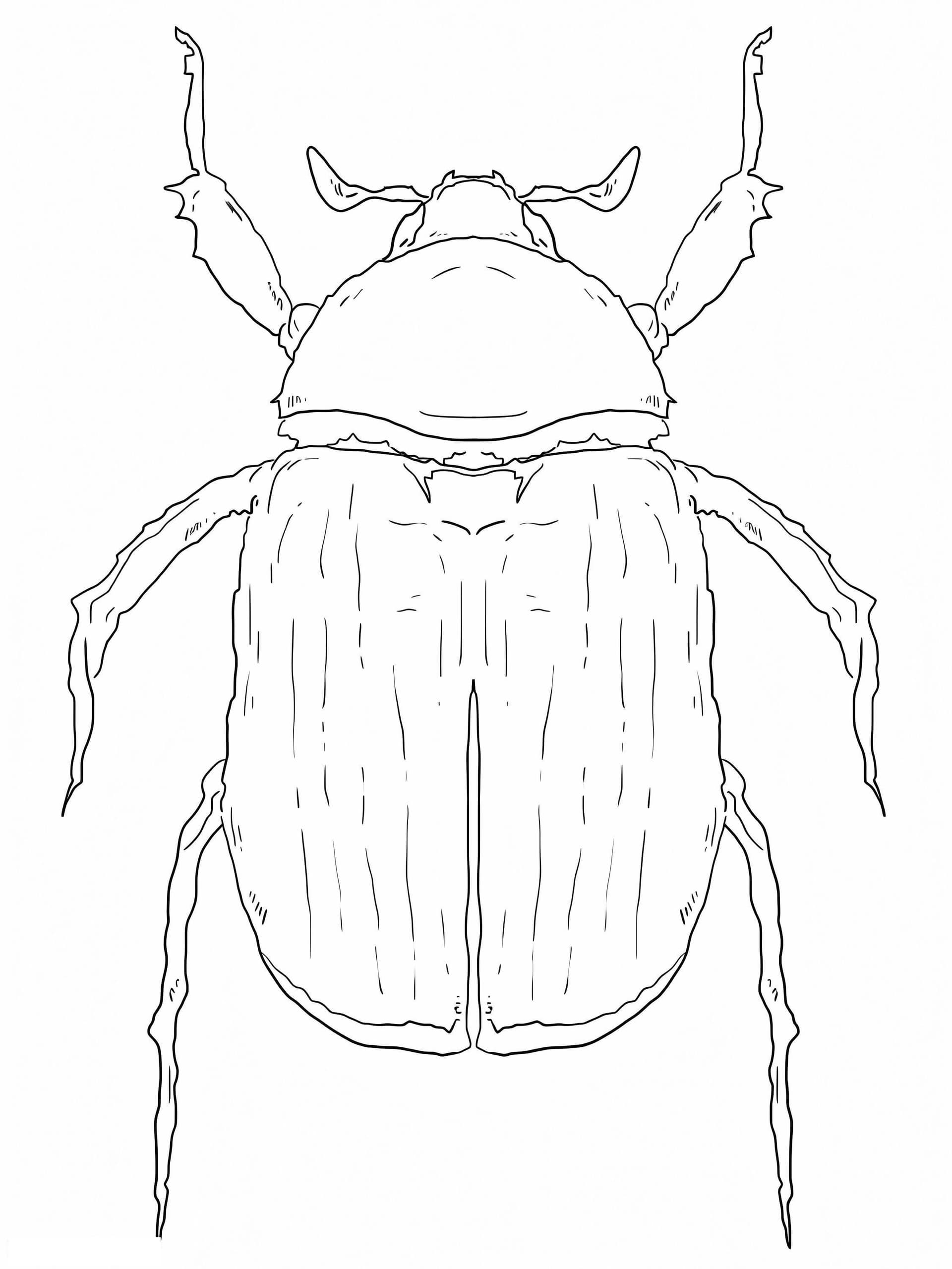 Green Scarab Beetle