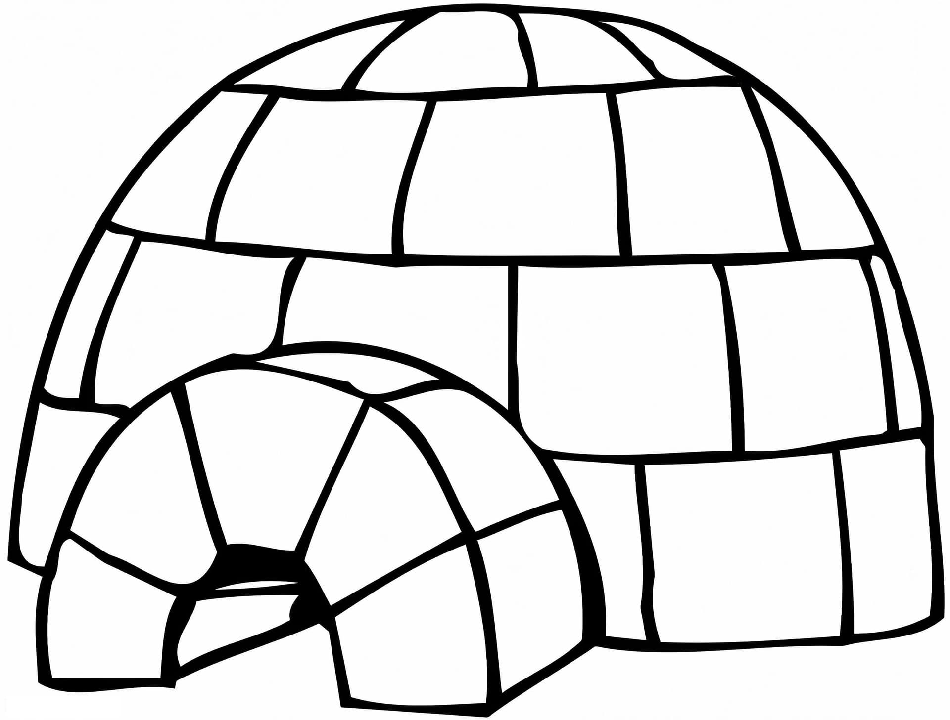 Iglu Basico