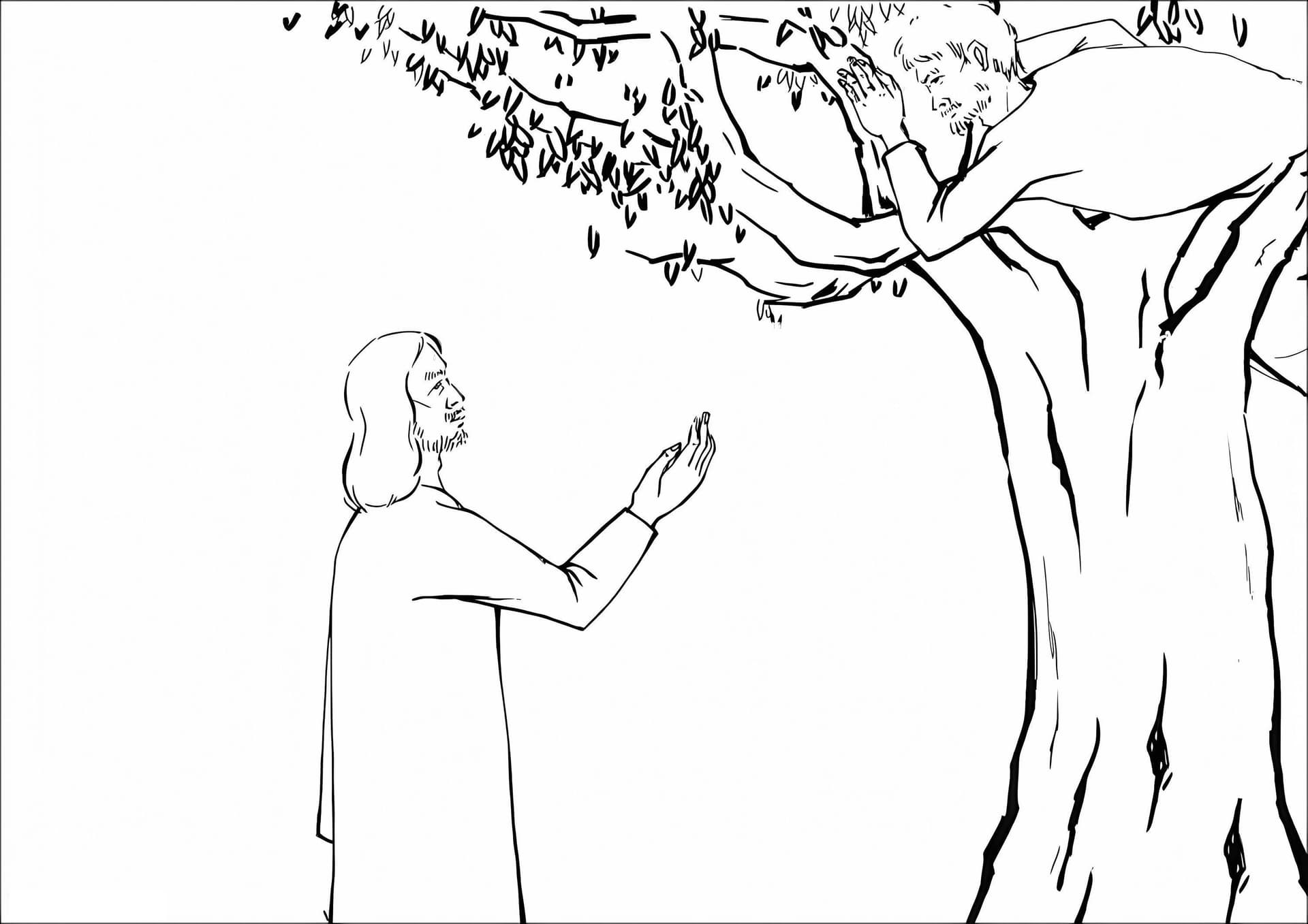 Jesus On The Tree And Funny Zacchaeus