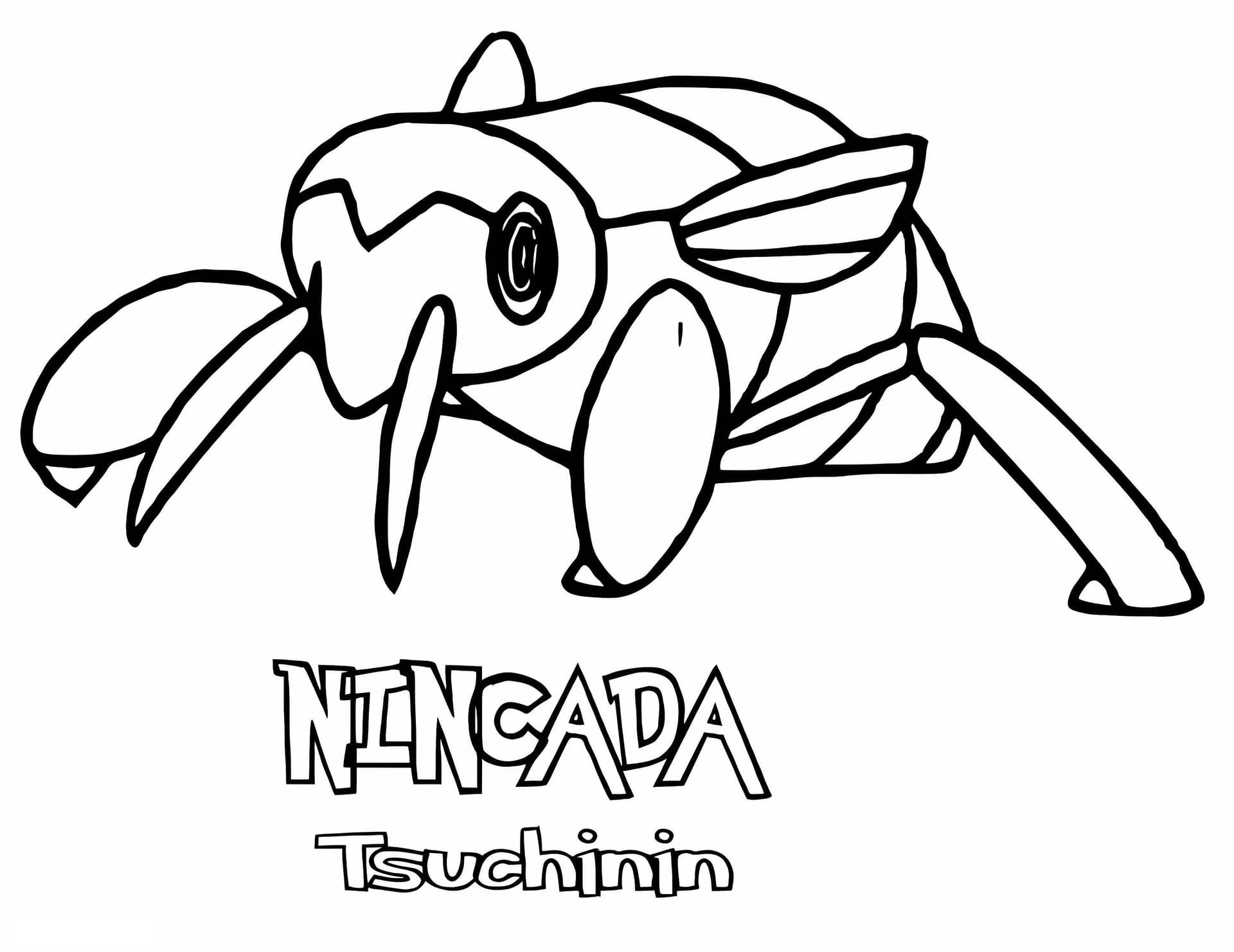 Nincada Gen 3 Pokemon