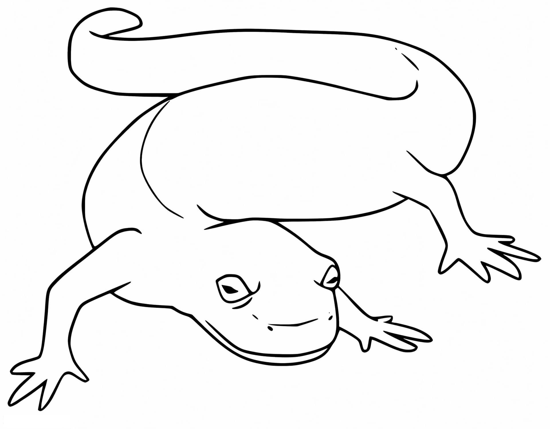 Simple Newt