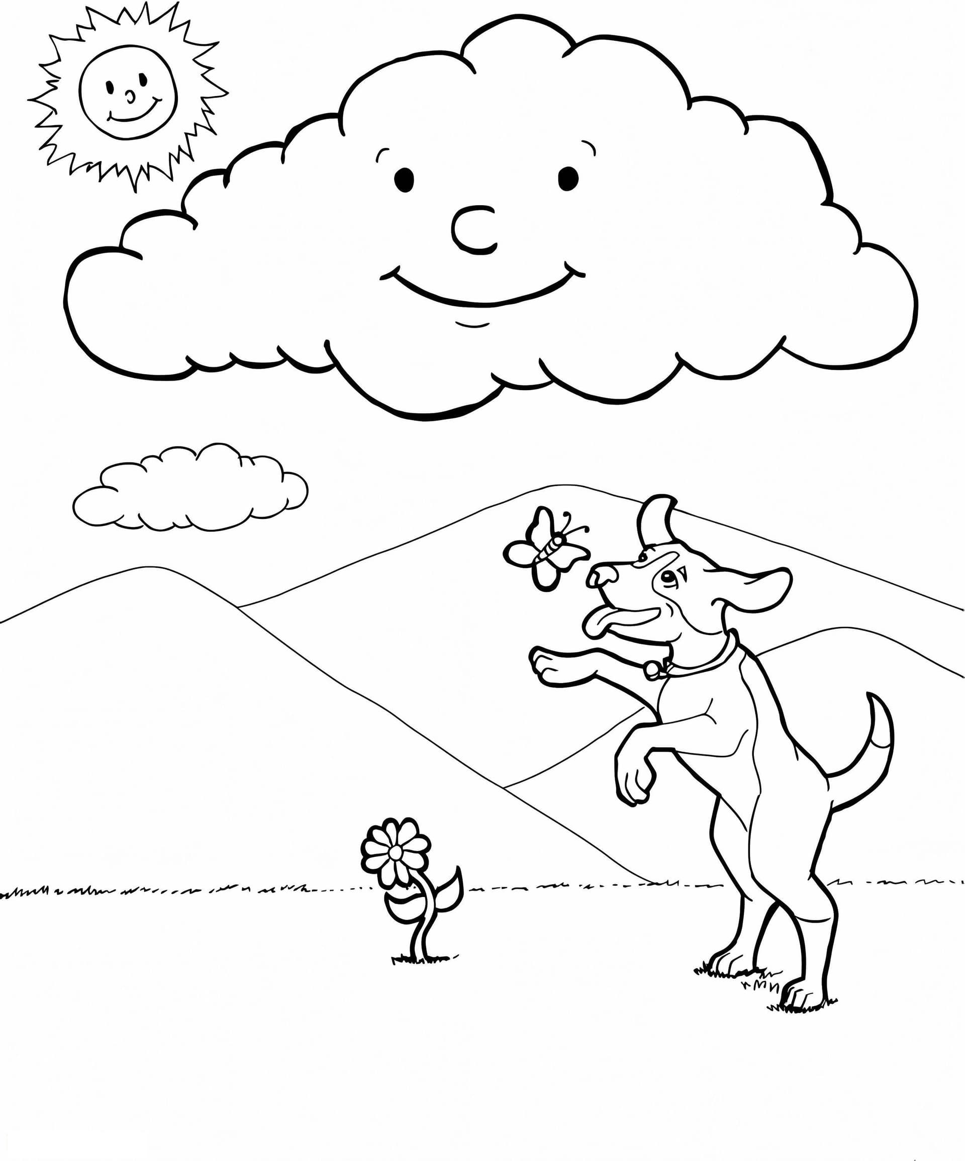 Types Of Weather