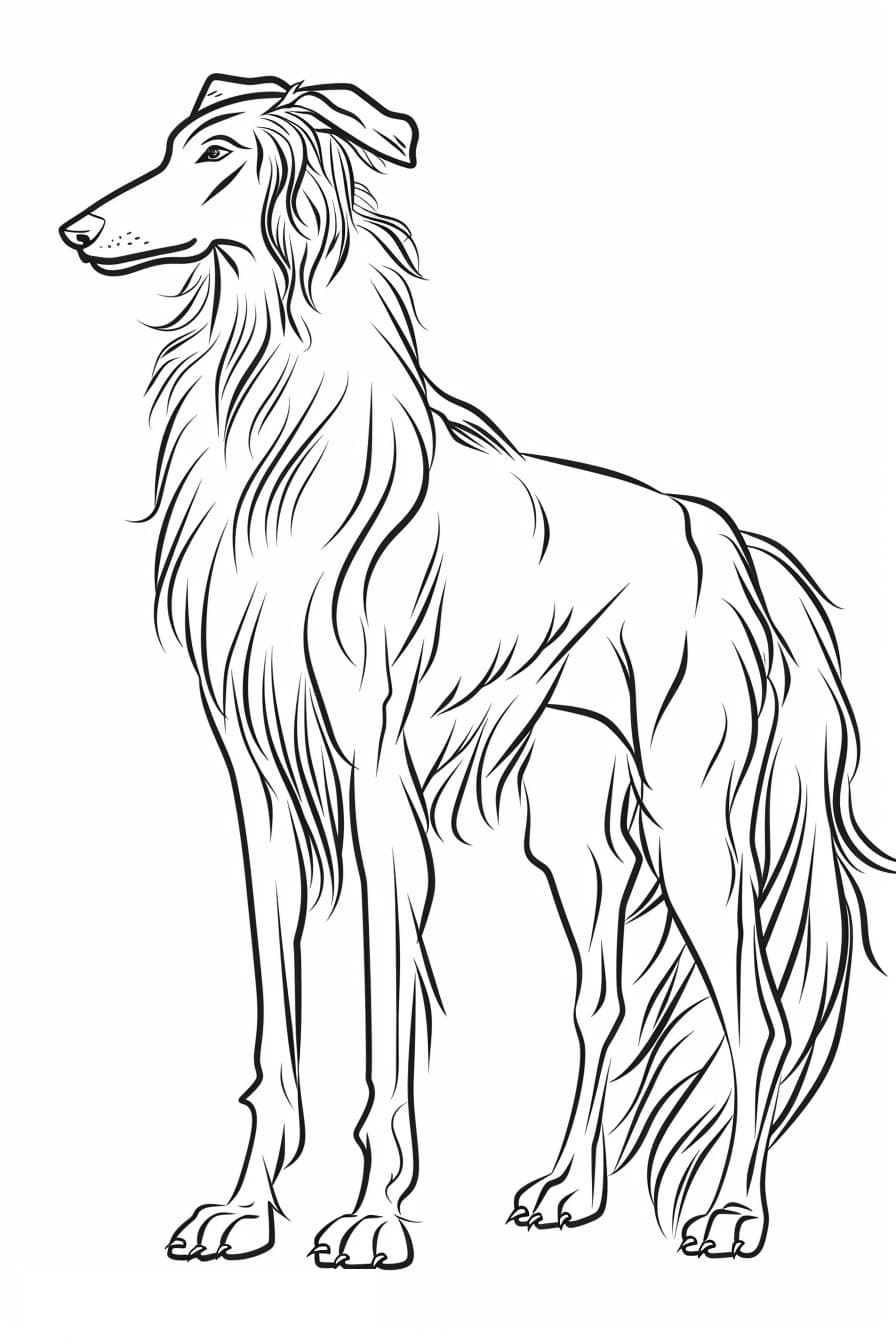Afghan Hound cartoon 3