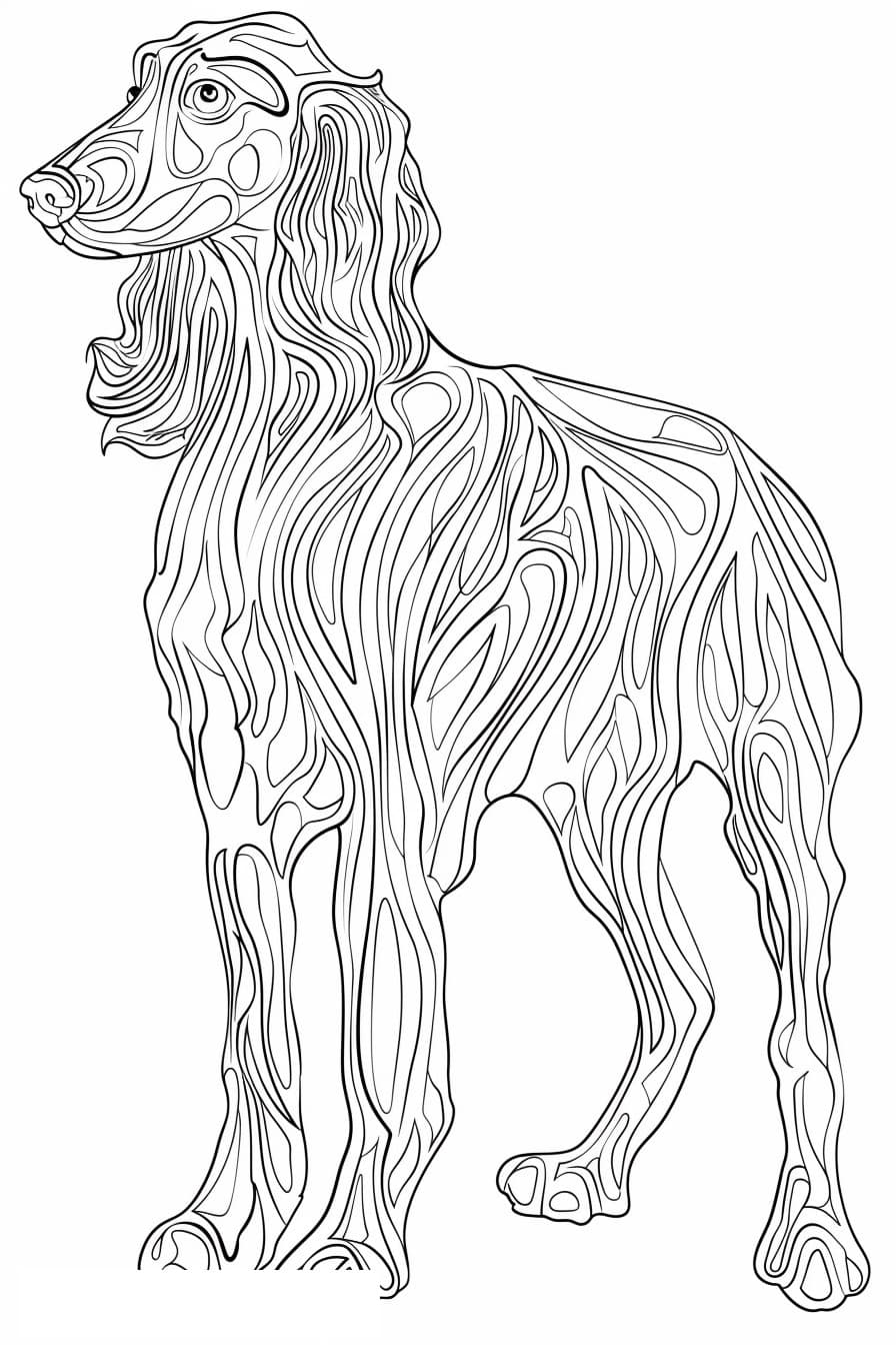 Afghan Hound full body 1