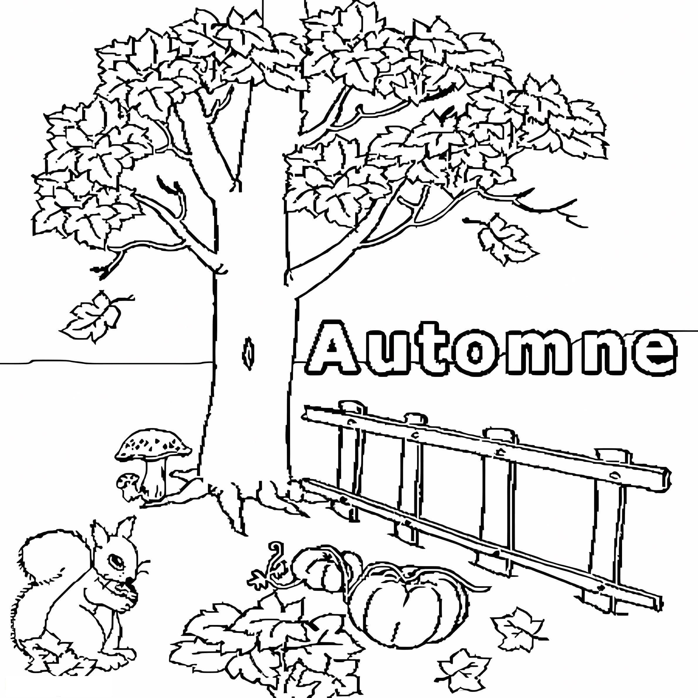 Fall 4