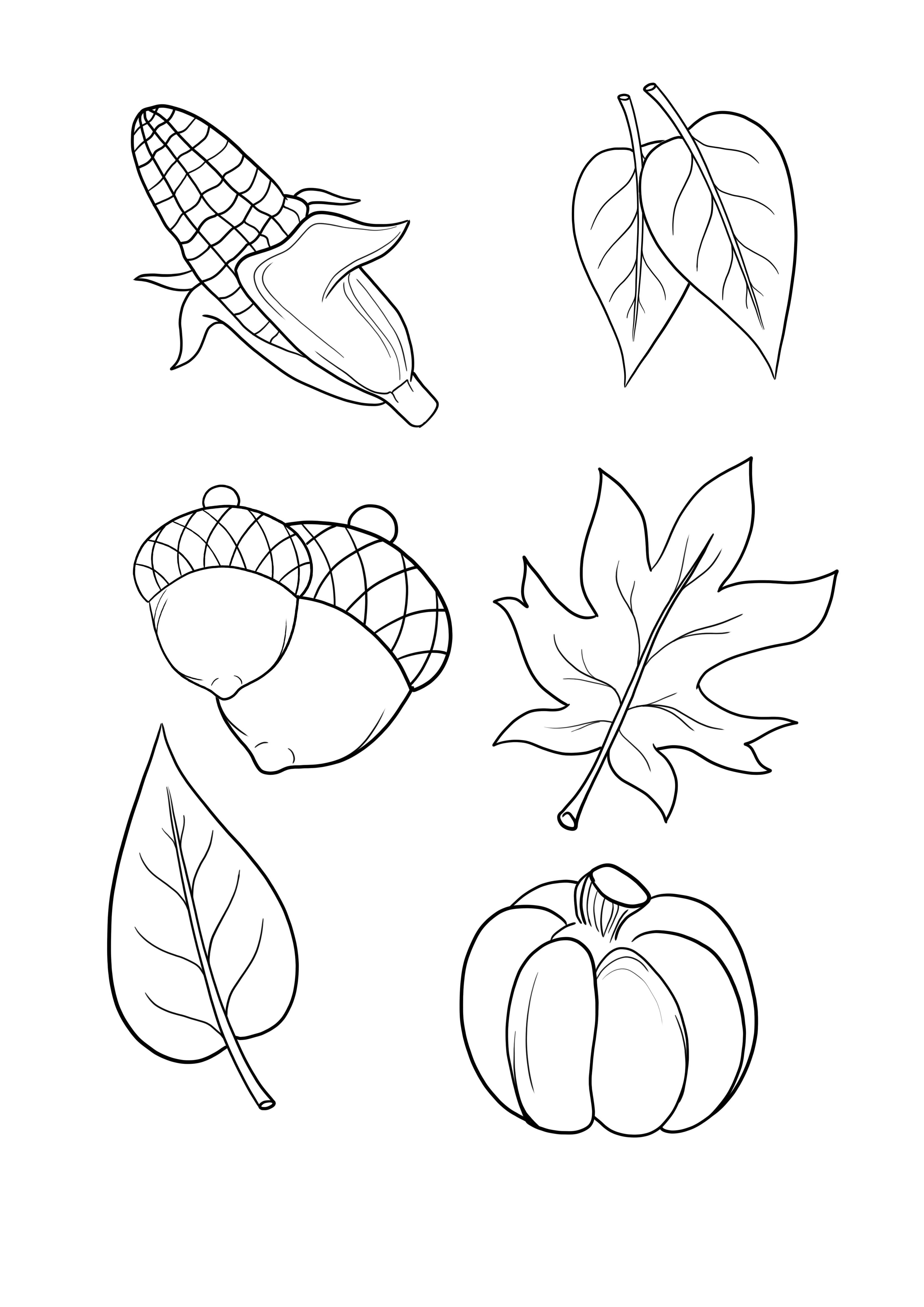 Fall leaves-corn-pumpkin-acorn