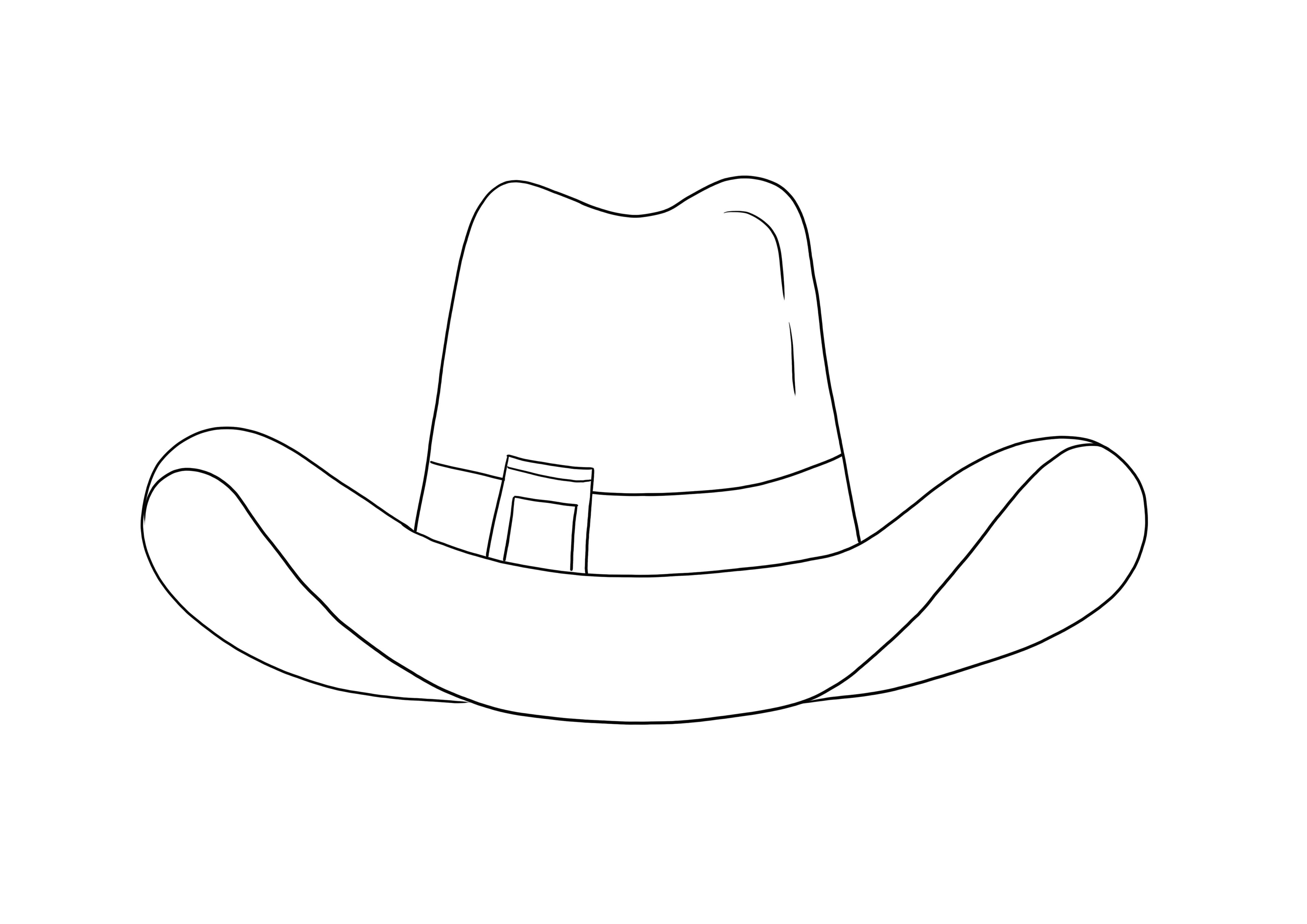 Sombrero de Vaquero