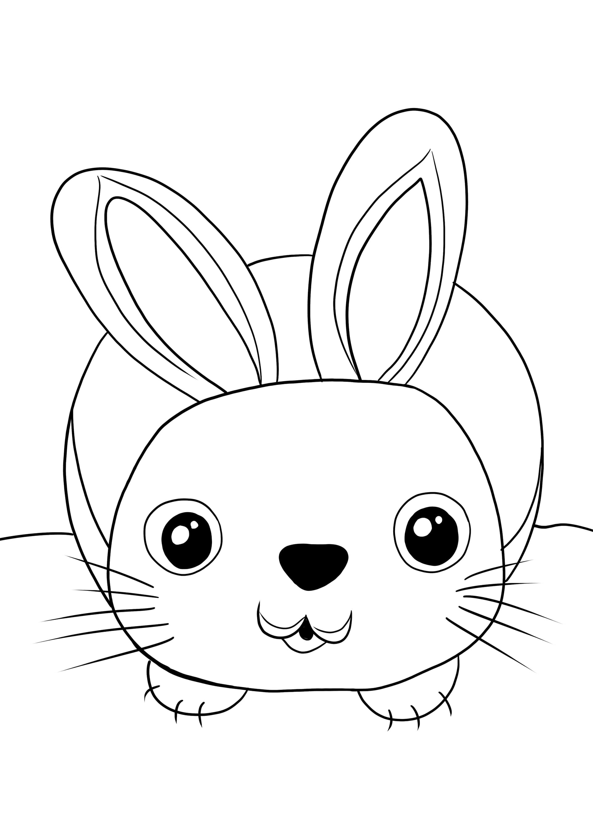Cute rabbit