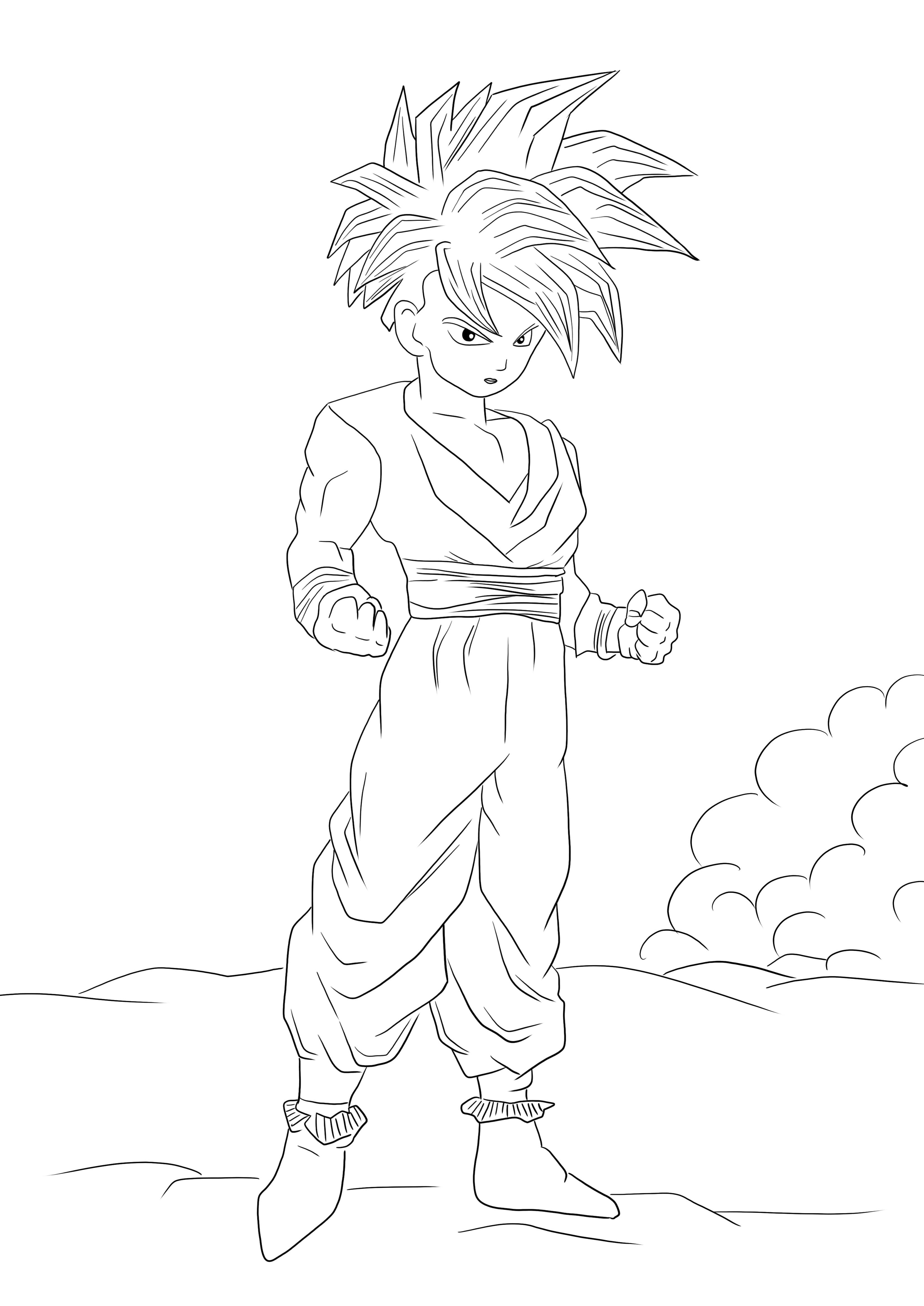 Dragon Ball Z Gohan