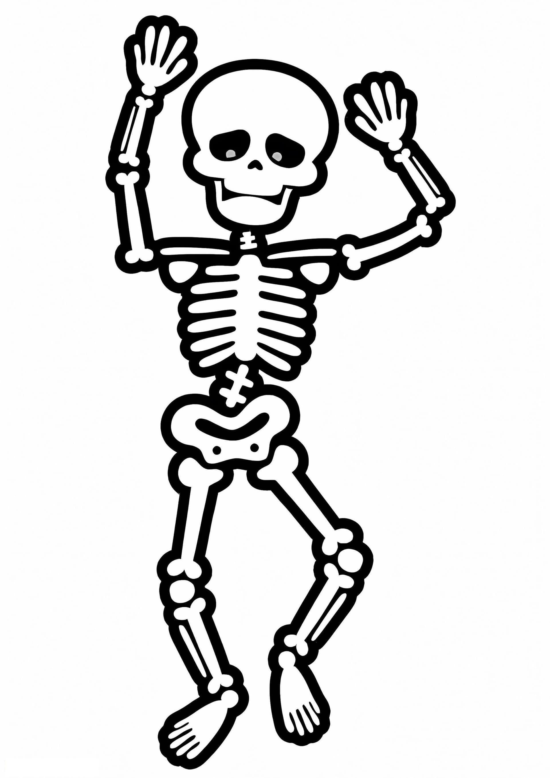 Basic Skeleton