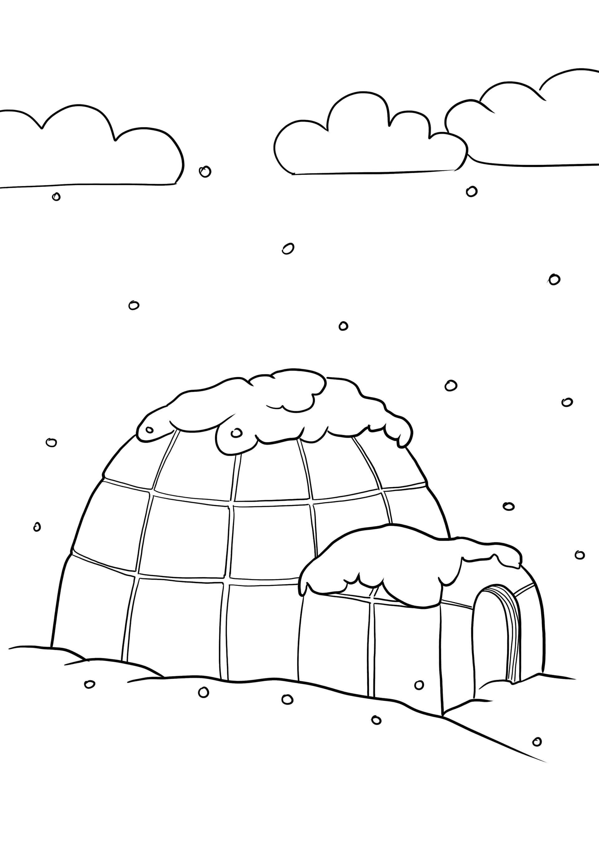 Igloo