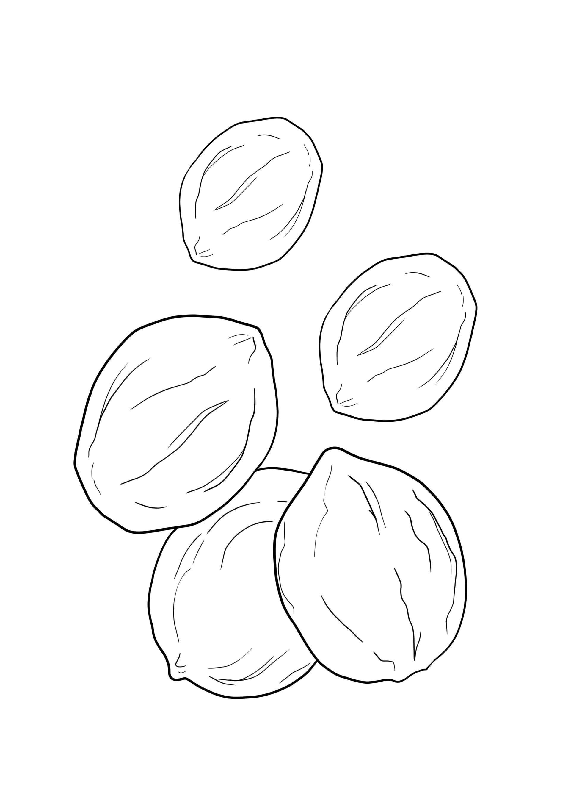 Nuts
