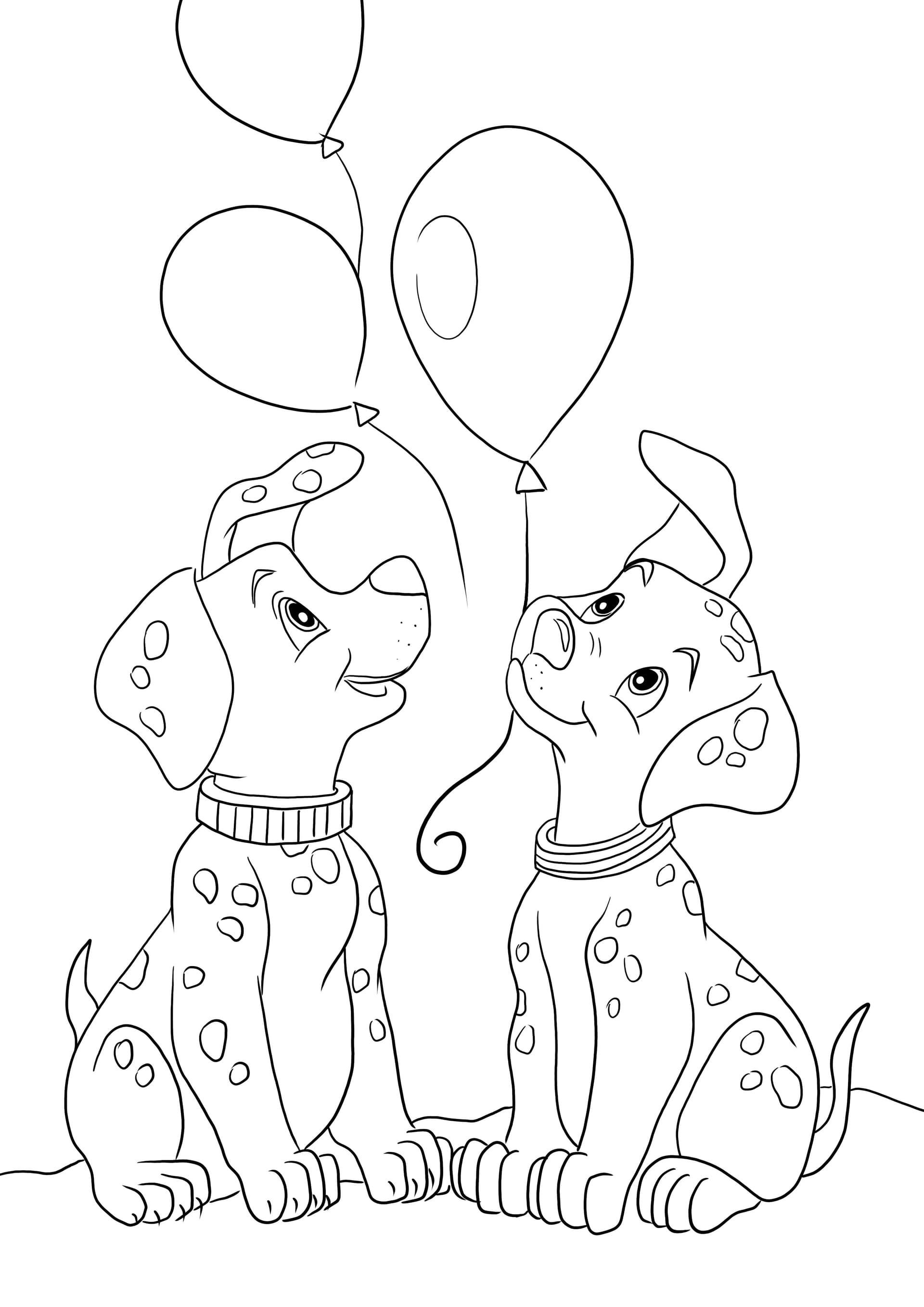 Patch and Rolly