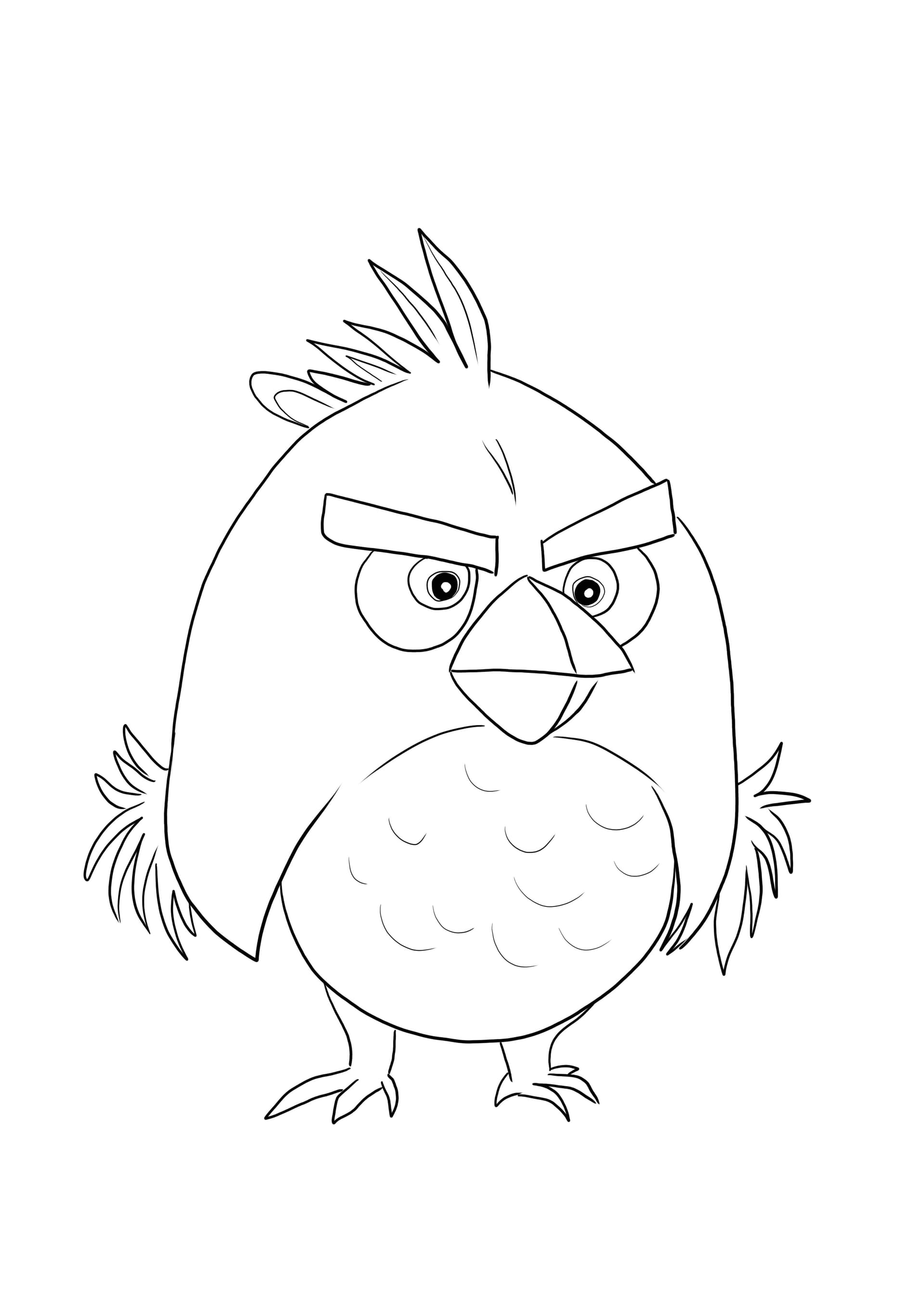 Red Bird from Angry Birds