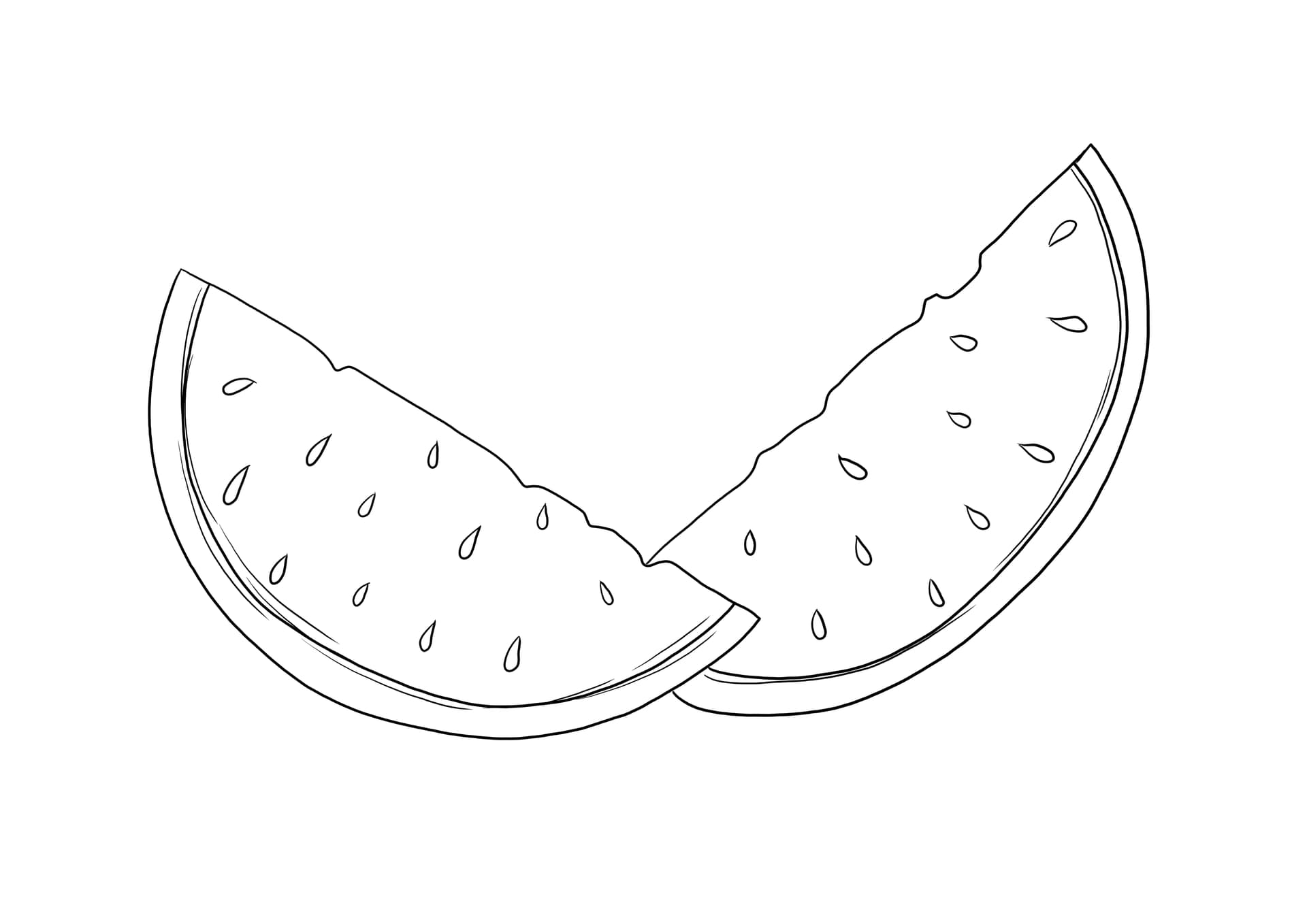 Slices of watermelon