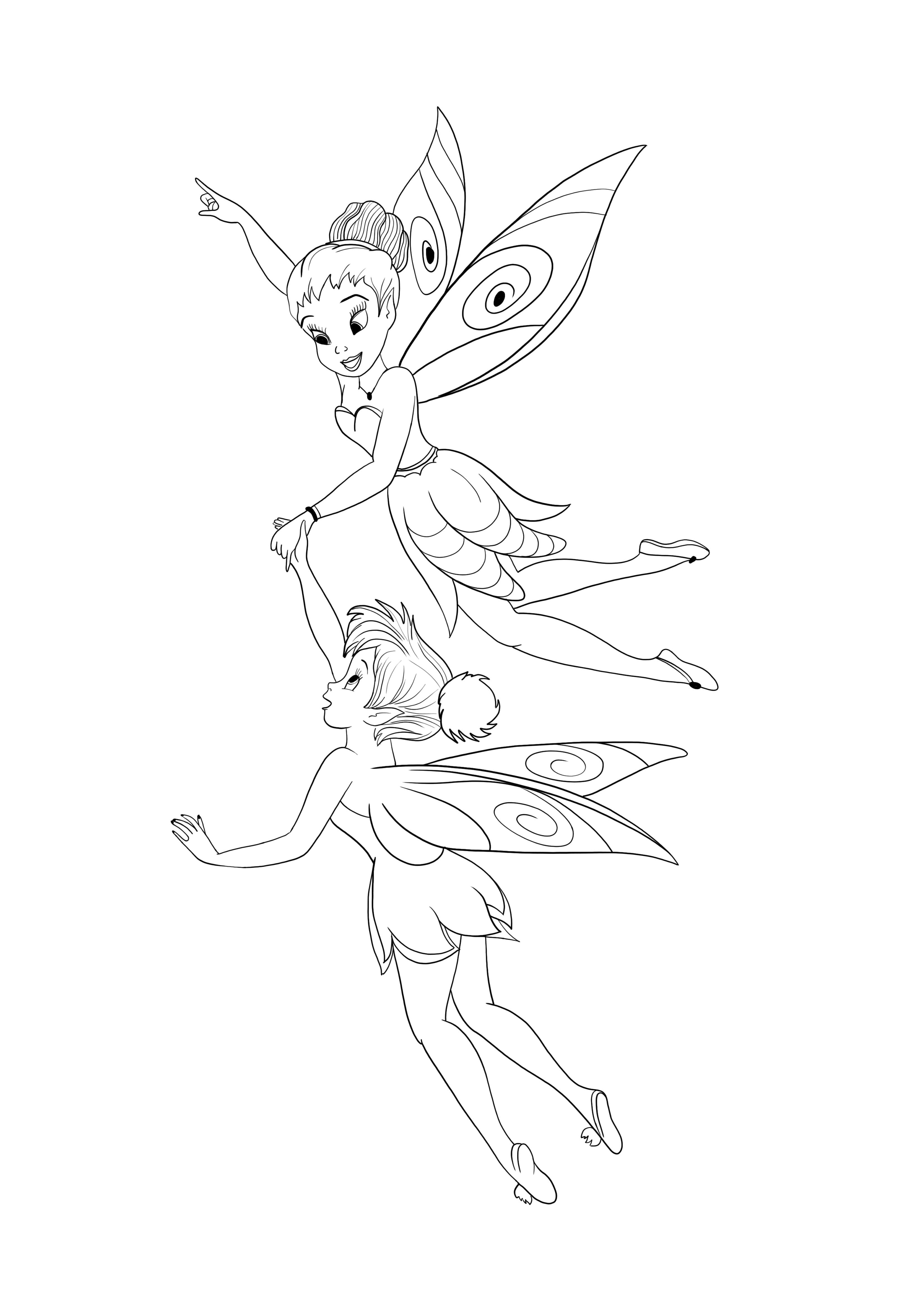 Tinkerbell e Iridessa